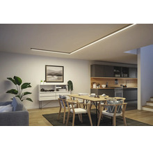 Helles Wohnzimmer mit Esstisch, Regal und Deckenbeleuchtung