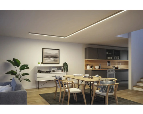 Helles Wohnzimmer mit Esstisch, Regal und Deckenbeleuchtung