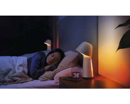 Une femme dort dans une chambre avec des lampes de chevet et un verre d''eau.