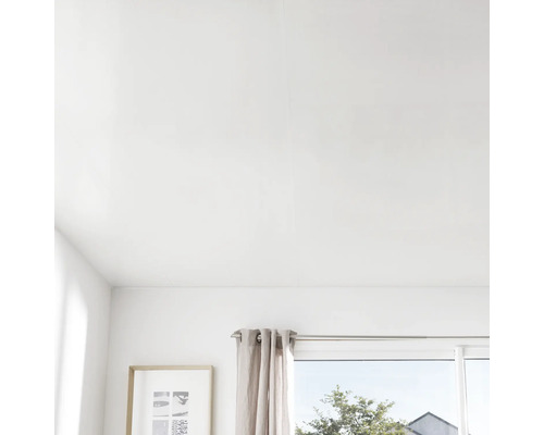 Pièce lumineuse avec plafond, fenêtre, rideau et tableau au mur