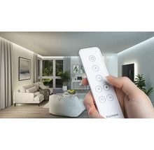 Fernbedienung zur Steuerung der Raumbeleuchtung in einem Wohnzimmer.