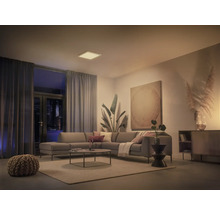 Wohnzimmer mit grauer Couch, Teppich, Pflanzen und quadratischer Deckenleuchte