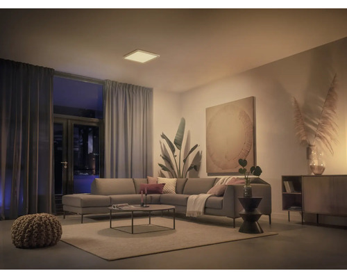 Wohnzimmer mit grauer Couch, Teppich, Pflanzen und quadratischer Deckenleuchte