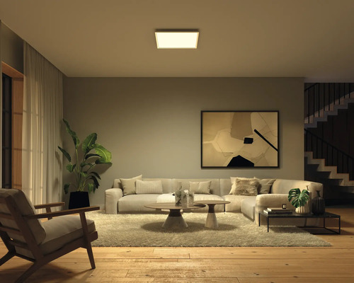 Salon avec plafonnier, canapé, tapis et décoration