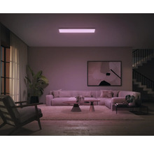 Wohnzimmer mit Sofa, Couchtisch, Teppich, Kunstwerk und Deckenleuchte.