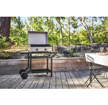 Photo extérieure d''un barbecue à gaz avec chariot de barbecue sur une terrasse.