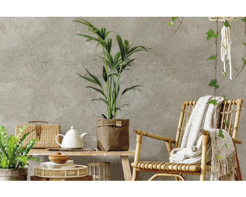 Dekoratives Wohnzimmer mit Rattanmöbeln und Zimmerpflanzen für eine helle und organisierte Atmosphäre.