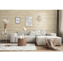 Wohnzimmer mit Sofa, Couchtisch, Teppich und Dekorationsartikeln für eine gemütliche Atmosphäre