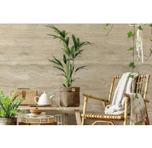 Helle und freundliche Raumdekoration mit Pflanzen und Rattanmöbeln