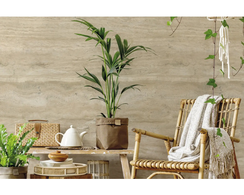 Helle und freundliche Raumdekoration mit Pflanzen und Rattanmöbeln