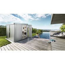 Abri de jardin biohort Neo 4B porte standard 235,5 x 347,5 cm argent métallique