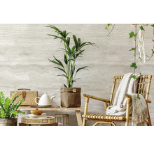 Dekoratives Interieur mit Zimmerpflanzen, Rattansessel und Wohnaccessoires