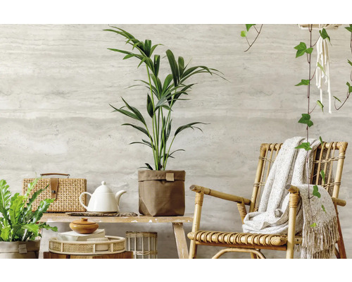 Dekoratives Interieur mit Zimmerpflanzen, Rattansessel und Wohnaccessoires