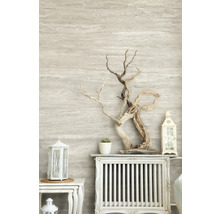 Dekorative Szene mit Treibholz, Windlichtern und Sukkulente auf einem Heizkörperregal.