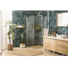 Salle de bain avec douche, meuble-lavabo avec miroir et plantes pour une ambiance naturelle