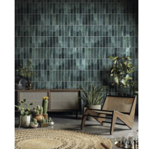 Séjour avec carrelage mural vert, meuble en bois, chaise en rotin et plantes