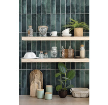 Scène de cuisine décorative avec étagères, vaisselle et plantes devant des carreaux muraux verts.