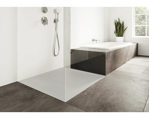 Badezimmer mit Dusche, Badewanne und Zimmerpflanze