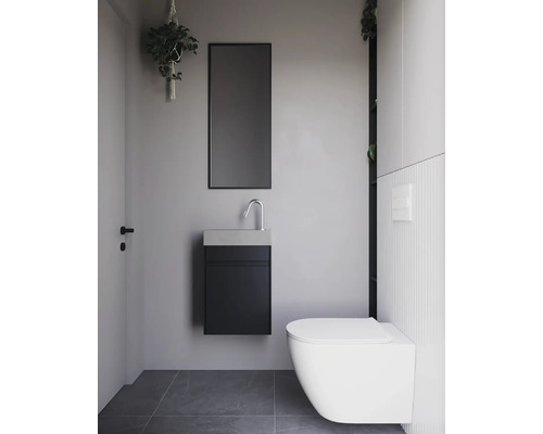Modernes Badezimmer mit Hänge-WC, Waschtischunterschrank, Spiegel und Hängepflanze