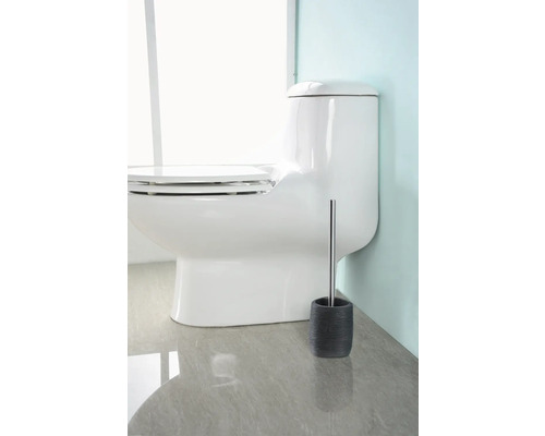 Toilettes en céramique avec brosse de toilette et support