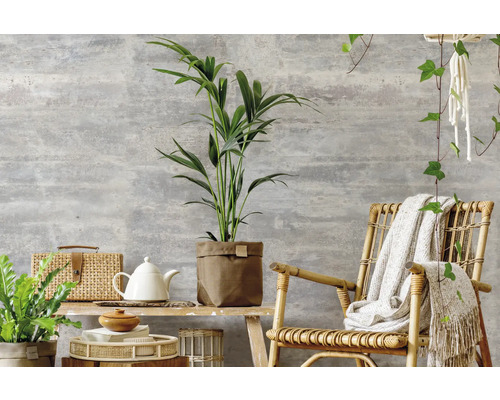 Salon décoratif avec fauteuil en rotin, plantes d''intérieur et accessoires sur une table en bois