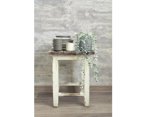 Scène décorative avec vaisselle, plante en pot et tabouret