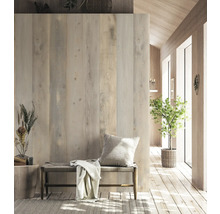 Pièce lumineuse avec lambris en bois, banc, coussin et plante
