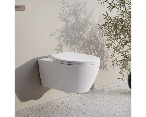 WC suspendu dans une salle de bains lumineuse.