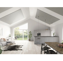 Espace de vie lumineux avec cuisine ouverte, panneaux de plafond et grandes fenêtres