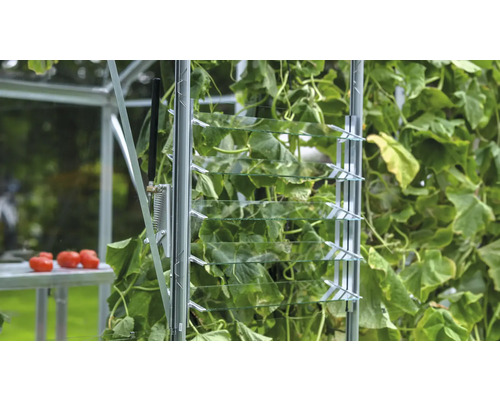 Gros plan d''une serre avec fenêtre à lamelles pour la ventilation et les plantes
