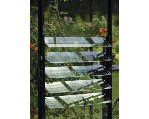 Fenêtre de serre avec persiennes pour la ventilation dans le jardin.