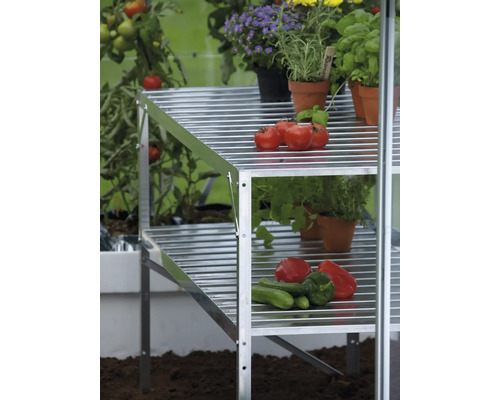 Zweistufiges Gewächshausregal aus Aluminium mit Gemüse und Kräutern