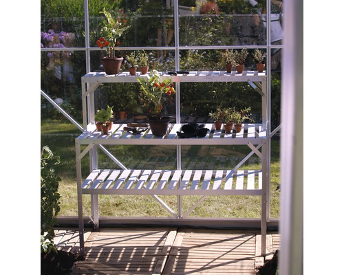 Gewächshausregal mit drei Ebenen im Gewächshaus mit Pflanzen und Gartengeräten