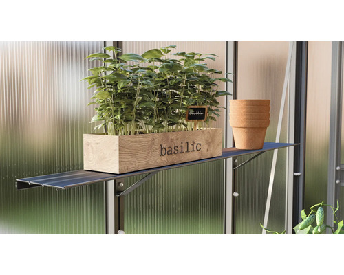 Basilic dans une caisse en bois avec étiquette pour herbes aromatiques et pile de pots en terre cuite sur une étagère dans une serre