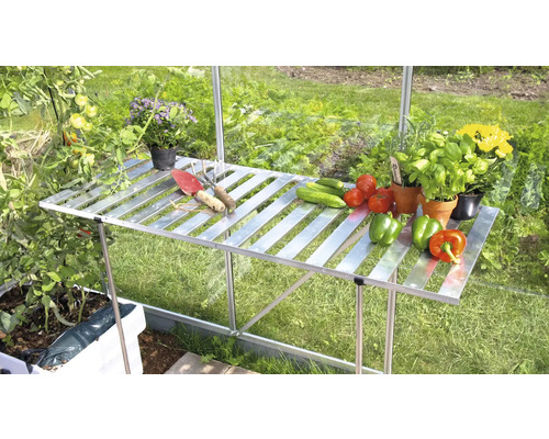 Table de serre argentée avec légumes et outils de jardin dans le jardin