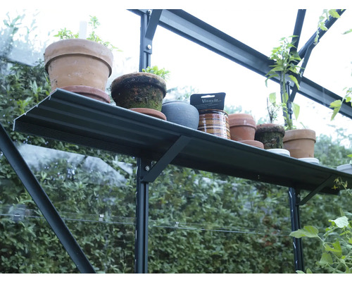 Étagère de serre avec divers pots de fleurs.
