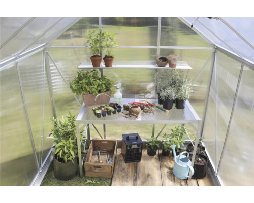 Vue intérieure d''une serre avec des plantes sur des étagères et une table