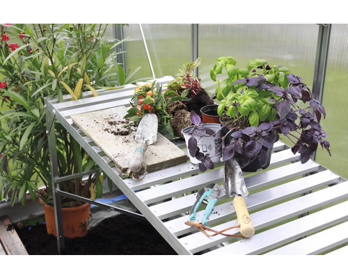 Scène de jardin avec table de plantation, plantes et outils de jardin dans la serre.