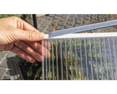 Personne tenant une plaque alvéolaire avec profilé