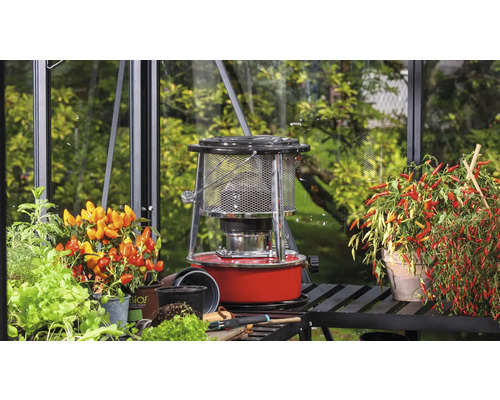 Vue de serre avec chauffage au pétrole et plantes en pot sur une étagère