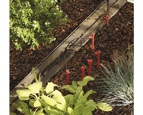 Système d''irrigation de jardin avec goutteurs dans un parterre