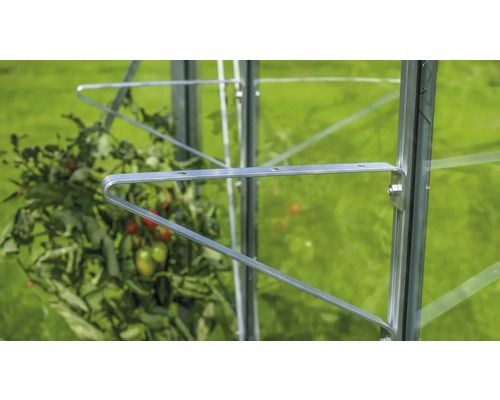 Gros plan sur un support à tomates dans une serre