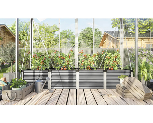 Intérieur de serre avec des parterres surélevés et des plants de tomates
