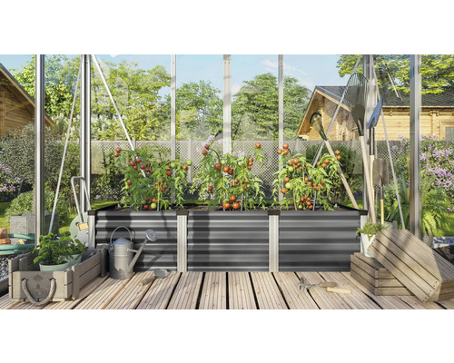Serre avec jardin surélevé, plants de tomates et outils de jardinage