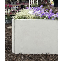 Jardinière en béton avec fleurs