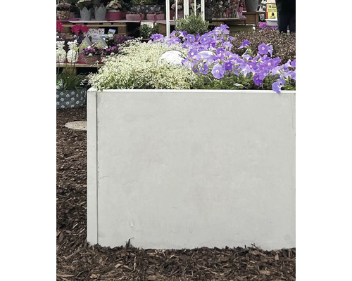 Jardinière en béton avec fleurs