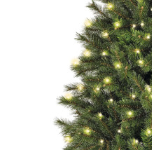 Detailansicht eines grünen Weihnachtsbaums mit Lichtern