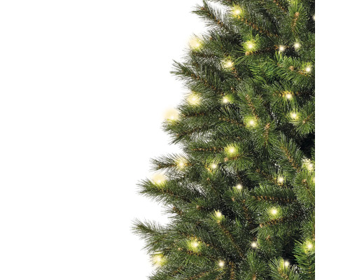 Detailansicht eines grünen Weihnachtsbaums mit Lichtern