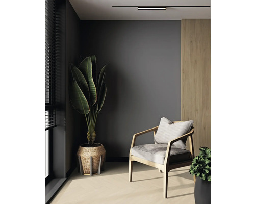 Salon avec chaise, plante d''intérieur et plafonnier