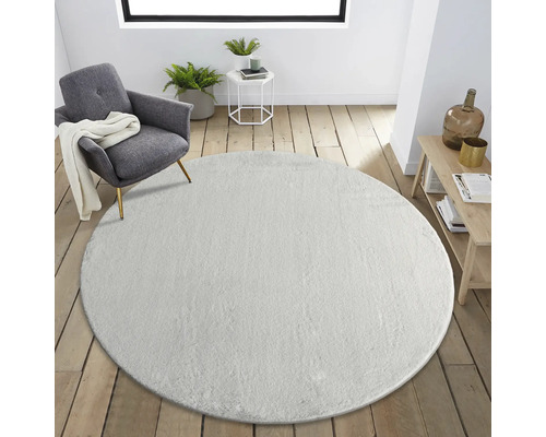 Salon avec tapis rond, fauteuil et table d''appoint.
